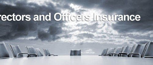 Why all businesses require Directors and Officers insurance