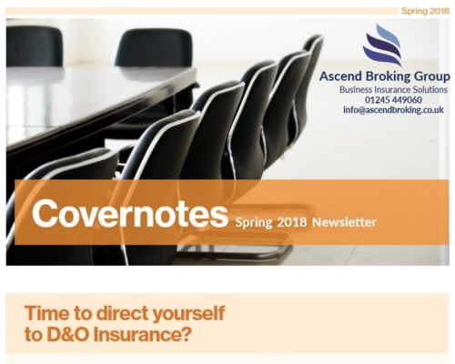 Time to direct yourself to D&O insurance?