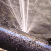 Ascend Water Leaks Winer Insurance Advice
