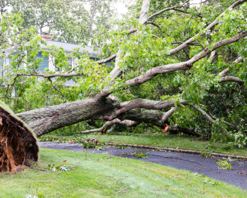 What to do after storm damage