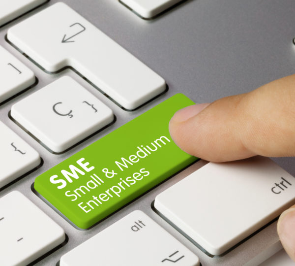 The Essential Guide to SME Insurance: Protecting the Future of your Business