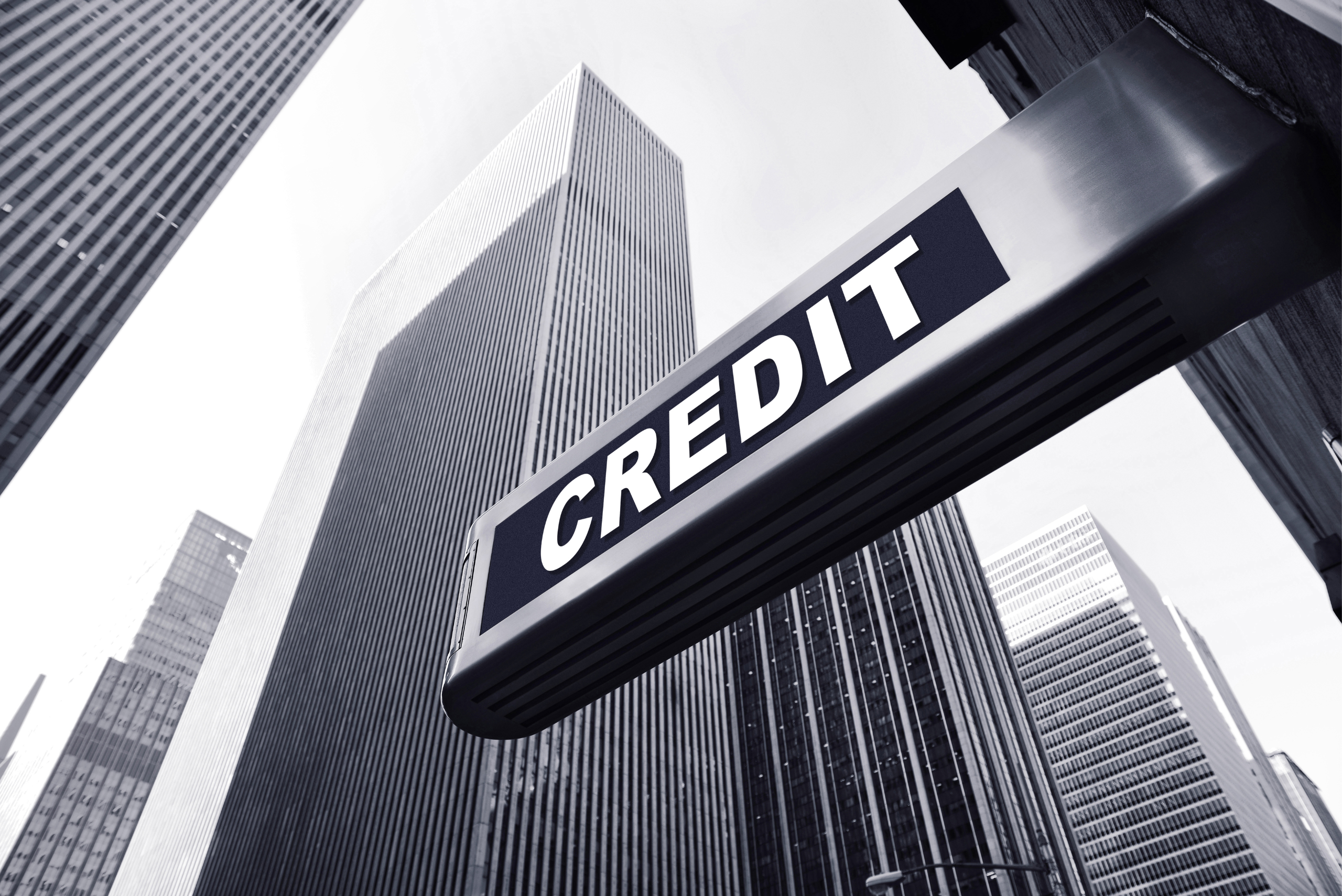 Importance Of Credit Insurance