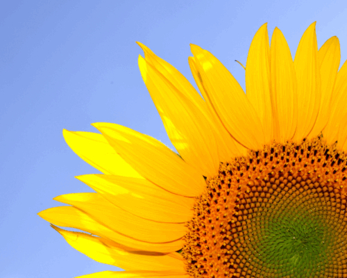 Summer Newsletter 2025