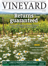 Vineyard Magazine July 2024