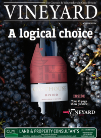 Vineyard Magazine - November 2024