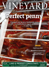 Vineyard Magazine - Perfect Penny