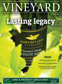 Vineyard Magazine September 2024